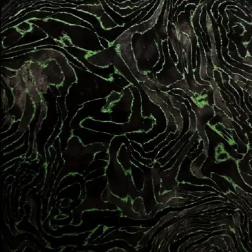 Echantillon Carbonium color vert