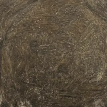 [E-00034] Echantillon Naturalium lin